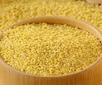   	 Foxtail Millet (Kakum/Kangni)